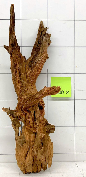 62500X - XINGU Wood Wurzelholz mit geschnittener Grundfläche