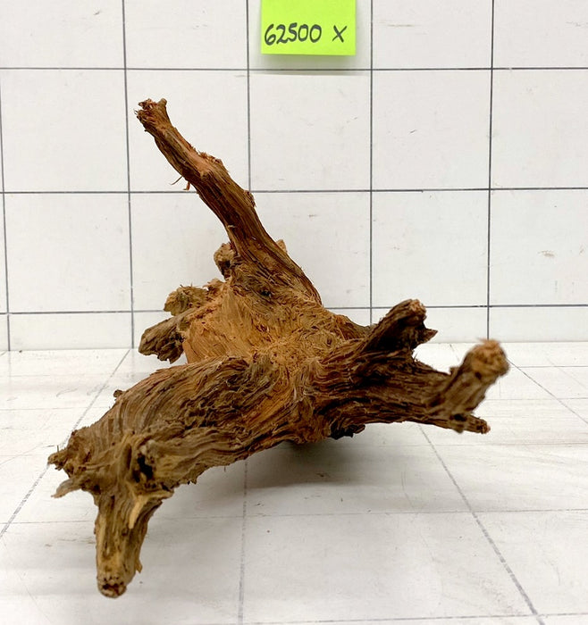 62500X - XINGU Wood Wurzelholz mit geschnittener Grundfläche