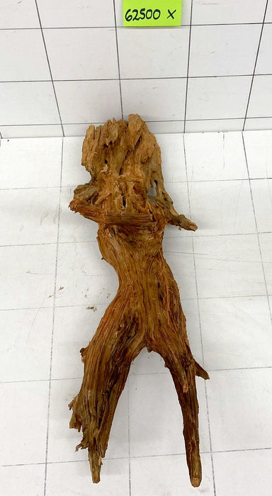 62500X - XINGU Wood Wurzelholz mit geschnittener Grundfläche