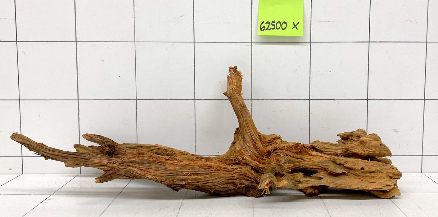 62500X - XINGU Wood Wurzelholz mit geschnittener Grundfläche