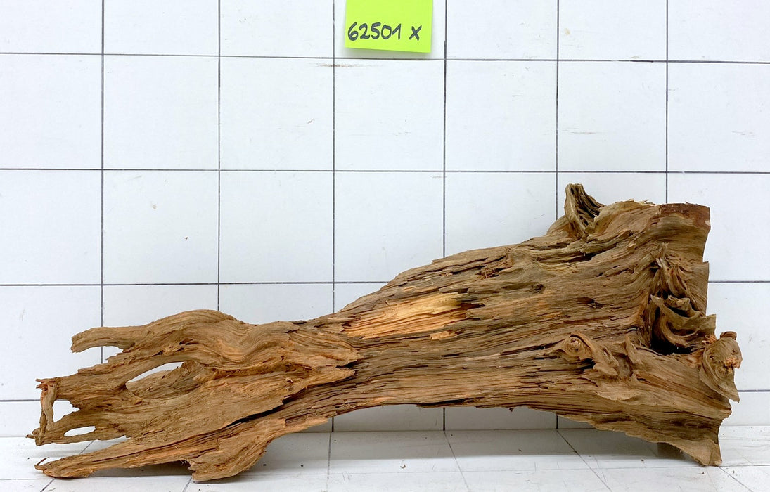 62501X - XINGU Wood Wurzelholz mit geschnittener Grundfläche