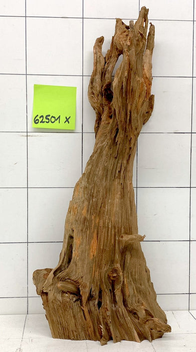 62501X - XINGU Wood Wurzelholz mit geschnittener Grundfläche