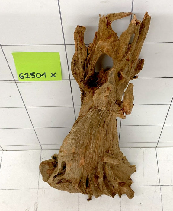62501X - XINGU Wood Wurzelholz mit geschnittener Grundfläche