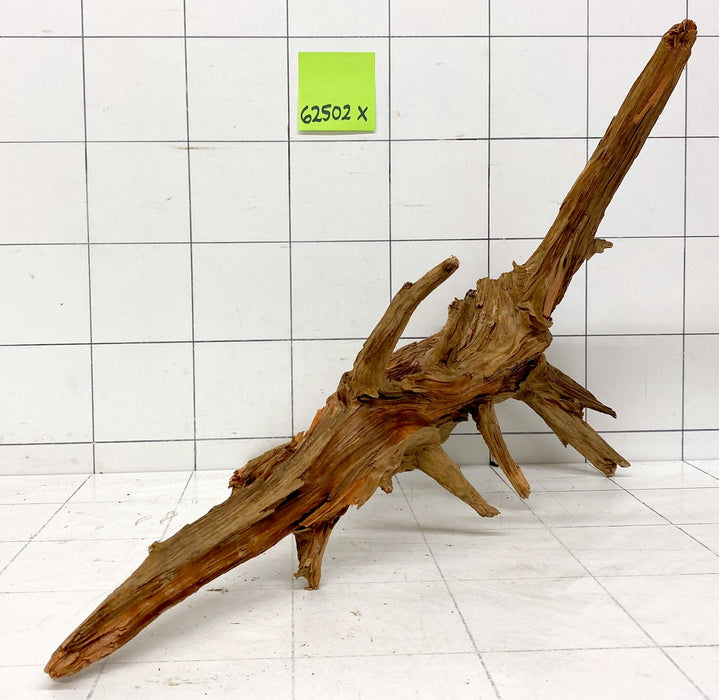 62502X - XINGU Wood Wurzelholz mit geschnittener Grundfläche