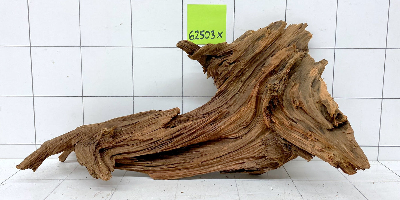 62503X - XINGU Wood Wurzelholz mit geschnittener Grundfläche