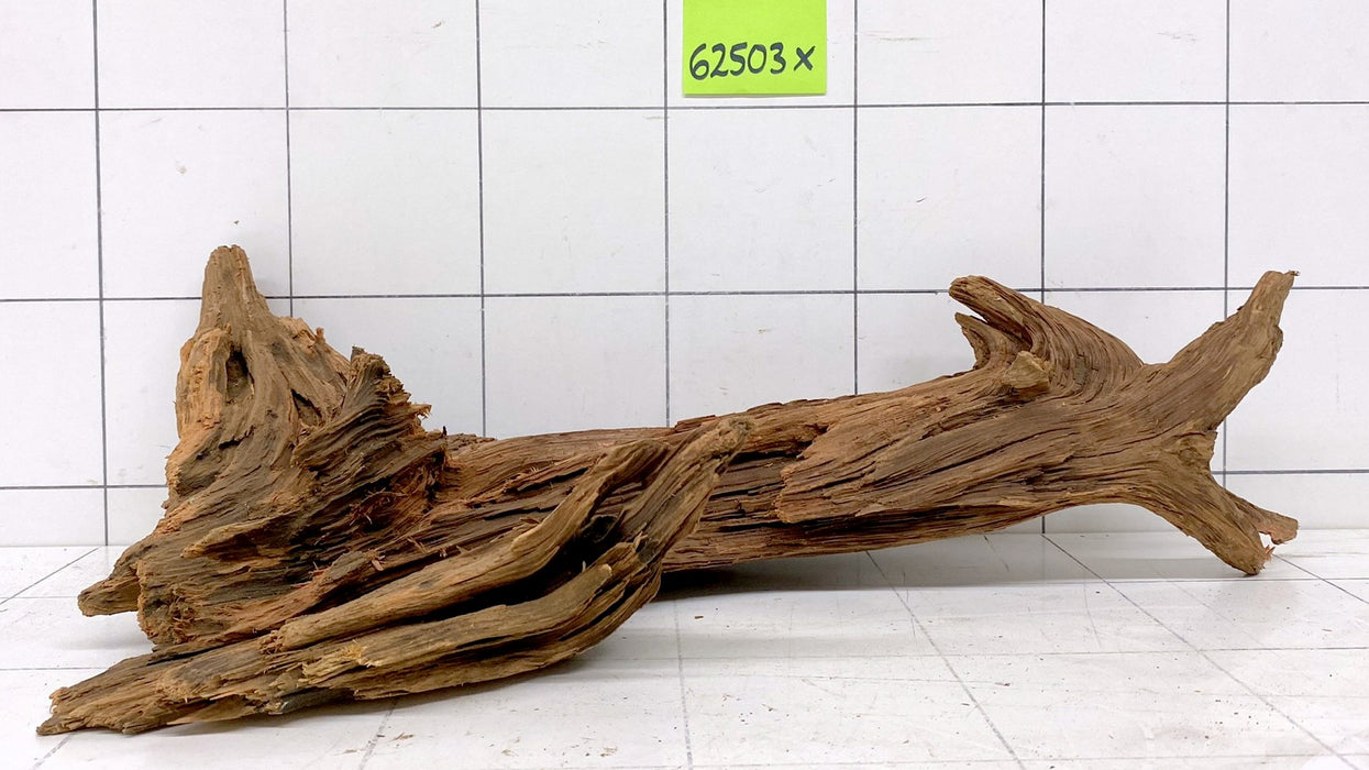 62503X - XINGU Wood Wurzelholz mit geschnittener Grundfläche