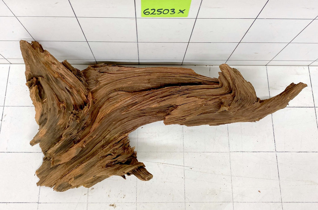 62503X - XINGU Wood Wurzelholz mit geschnittener Grundfläche