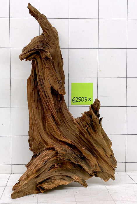 62503X - XINGU Wood Wurzelholz mit geschnittener Grundfläche