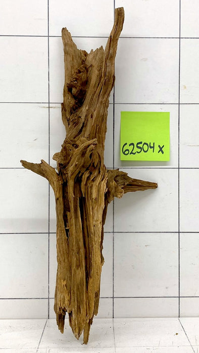 62504X - XINGU Wood Wurzelholz