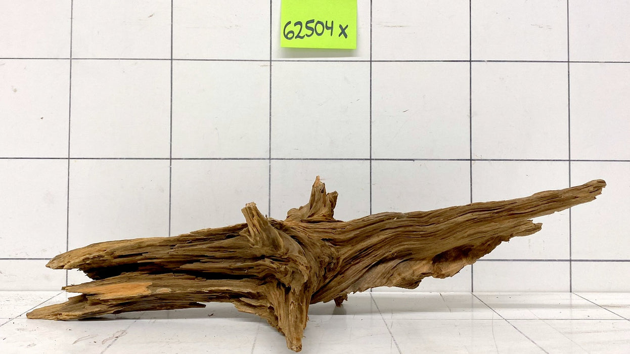 62504X - XINGU Wood Wurzelholz