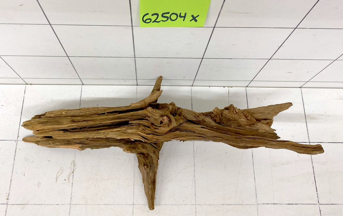 62504X - XINGU Wood Wurzelholz