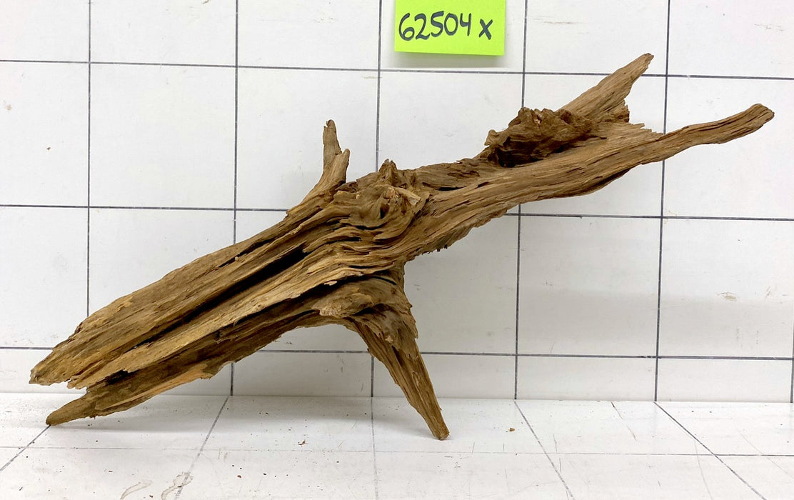 62504X - XINGU Wood Wurzelholz