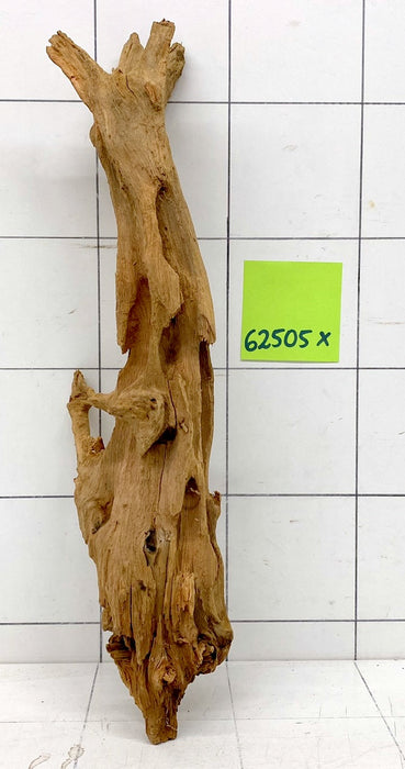 62505X - XINGU Wood Wurzelholz