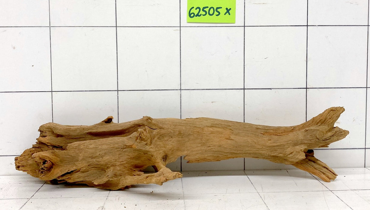62505X - XINGU Wood Wurzelholz