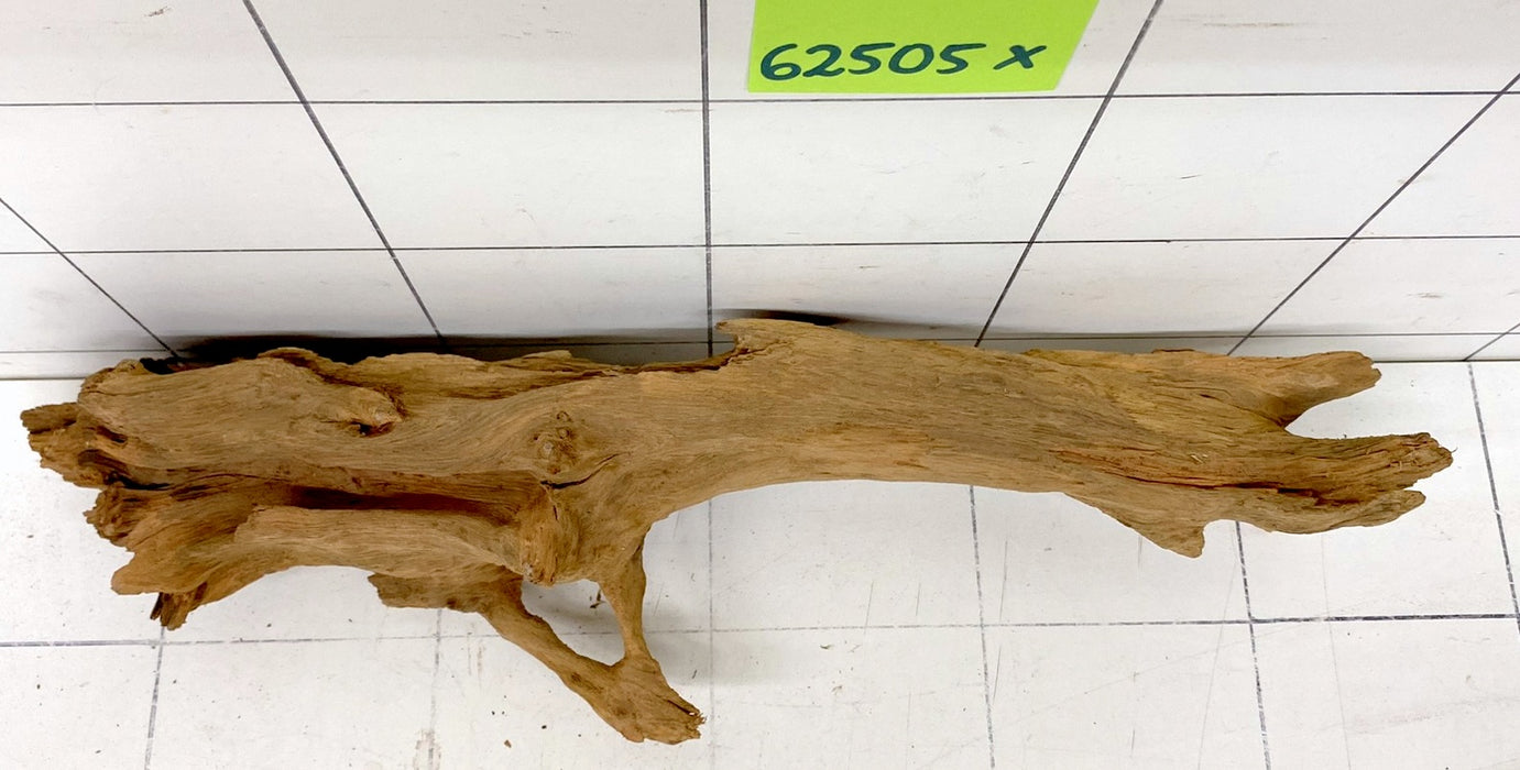 62505X - XINGU Wood Wurzelholz