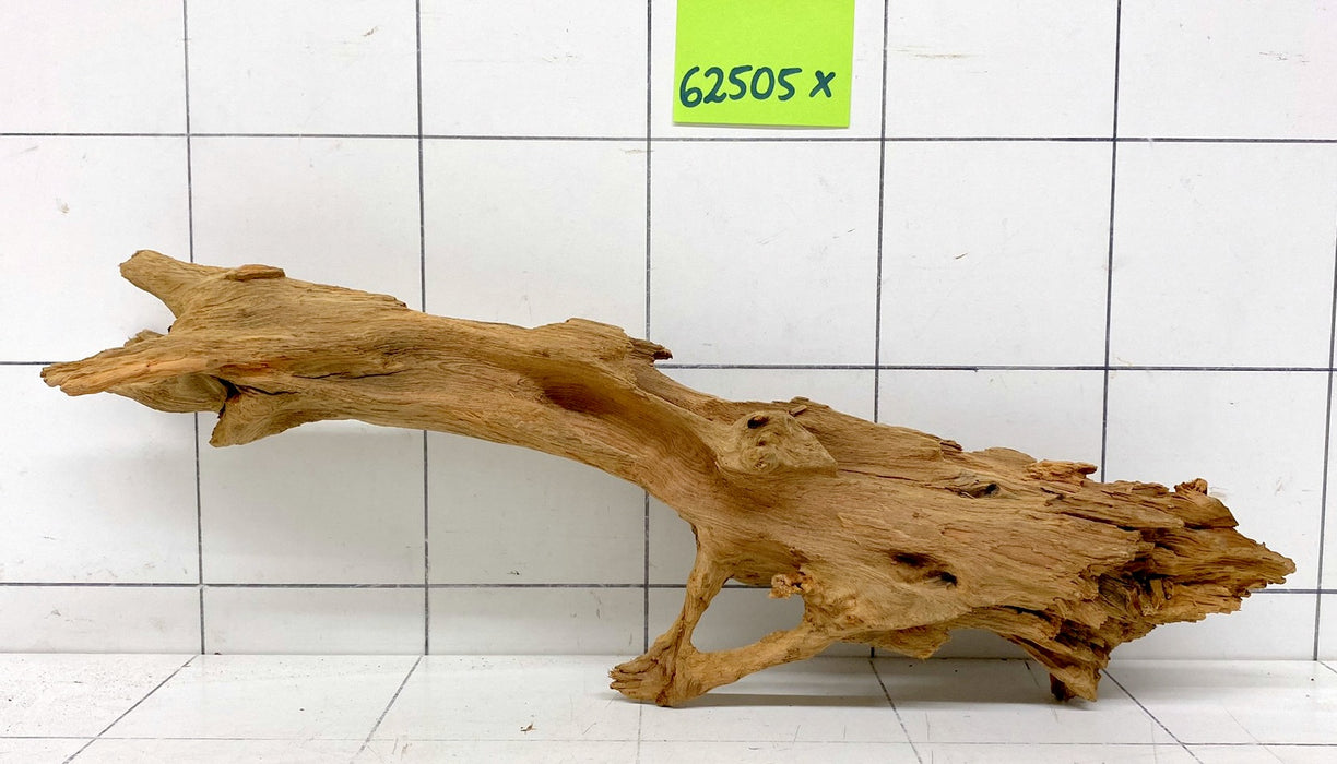 62505X - XINGU Wood Wurzelholz