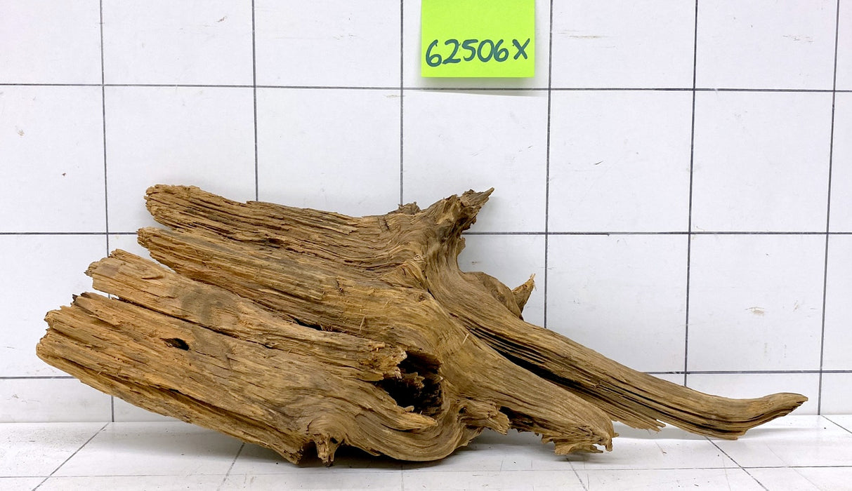 62506X - XINGU Wood Wurzelholz