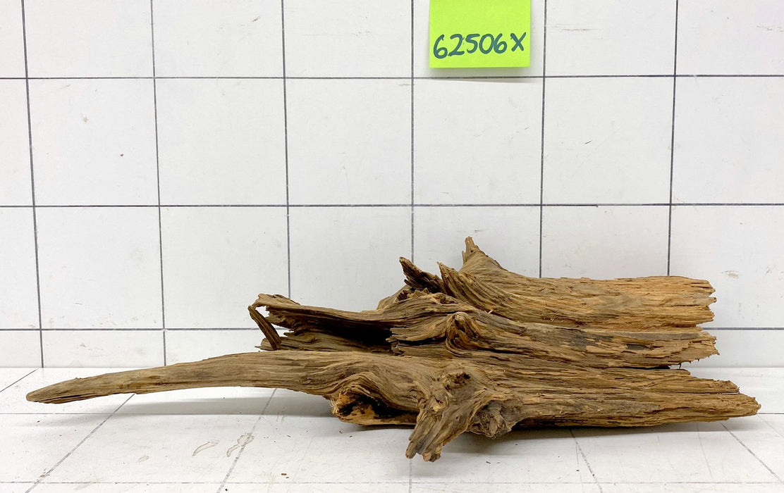 62506X - XINGU Wood Wurzelholz