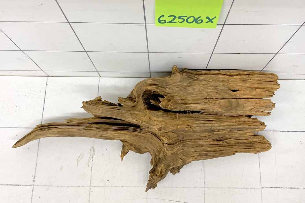62506X - XINGU Wood Wurzelholz