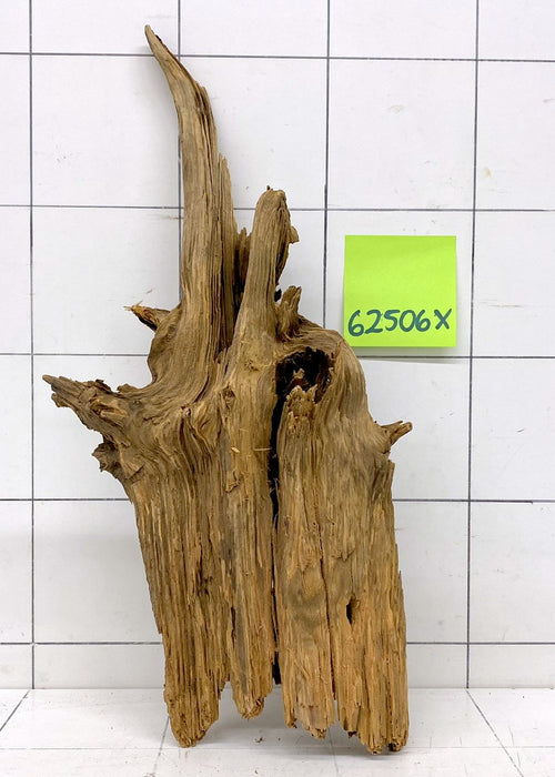 62506X - XINGU Wood Wurzelholz