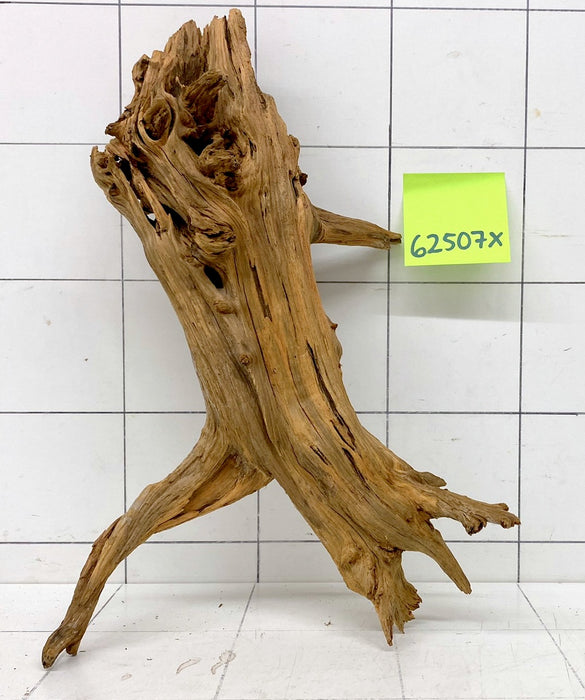 62507X - XINGU Wood Wurzelholz