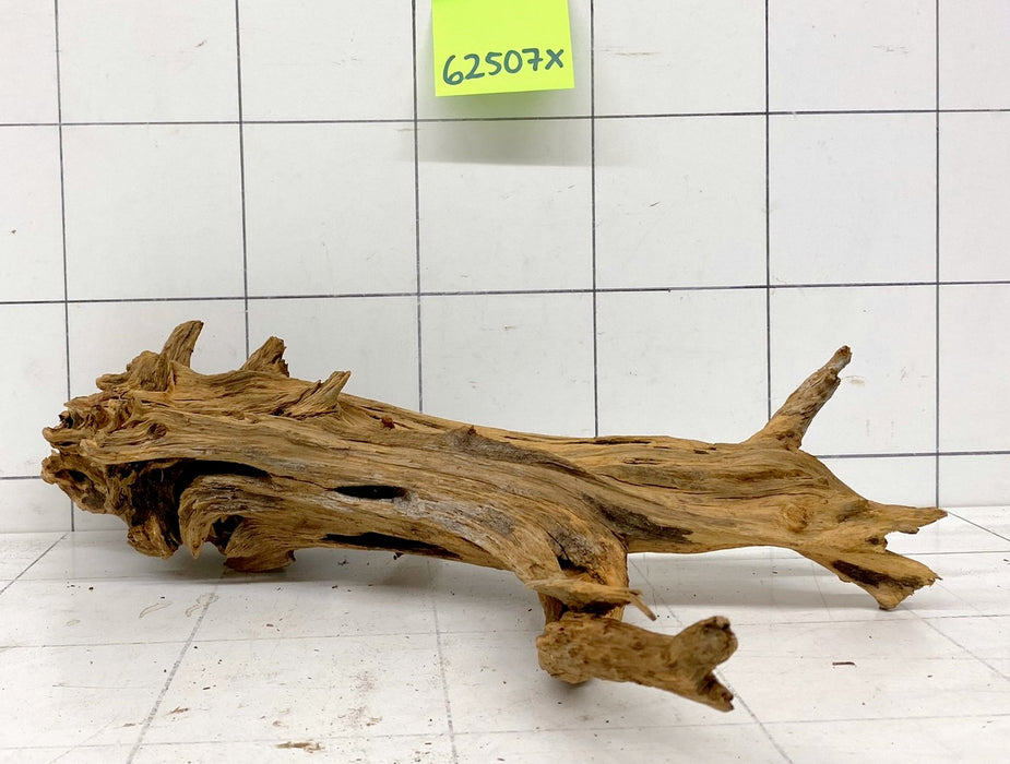 62507X - XINGU Wood Wurzelholz