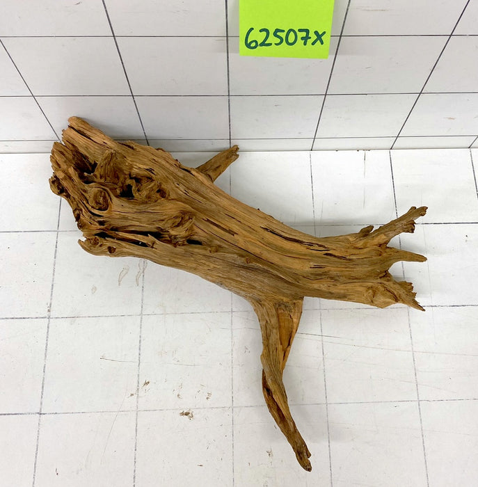 62507X - XINGU Wood Wurzelholz