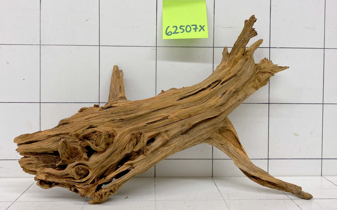 62507X - XINGU Wood Wurzelholz