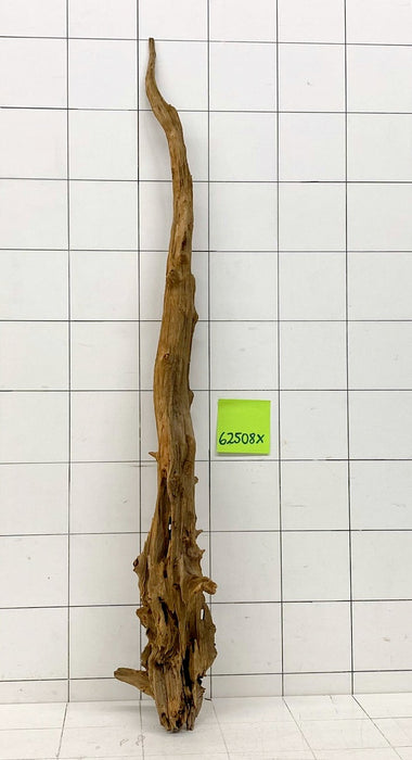 62508X - XINGU Wood Wurzelholz