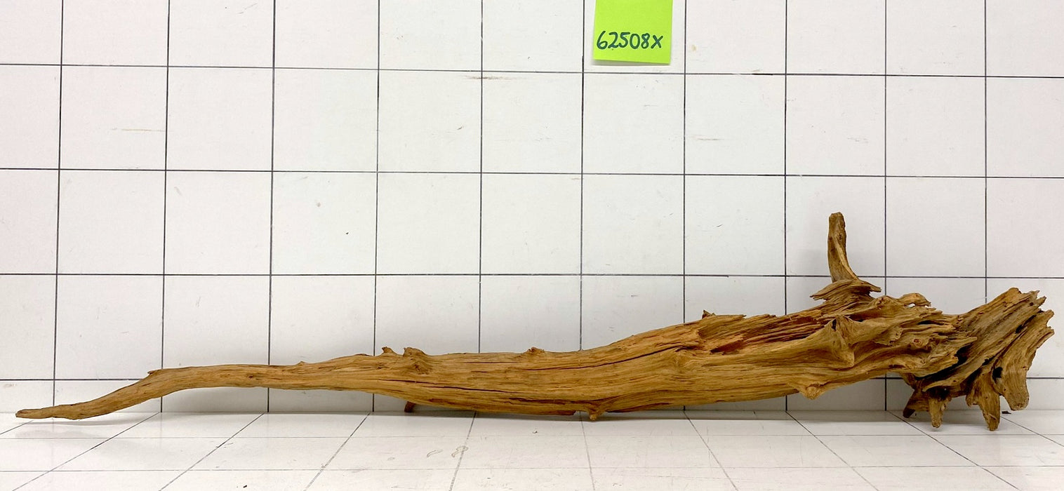 62508X - XINGU Wood Wurzelholz