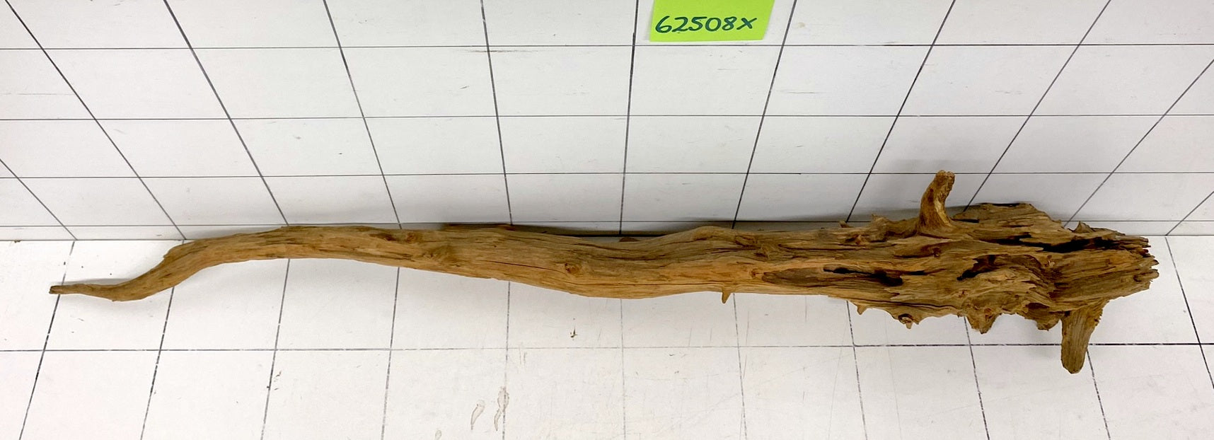 62508X - XINGU Wood Wurzelholz