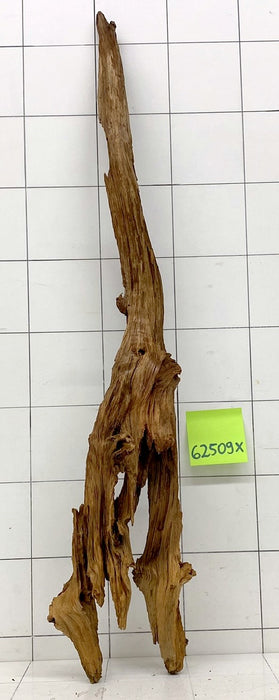 62509X - XINGU Wood Wurzelholz