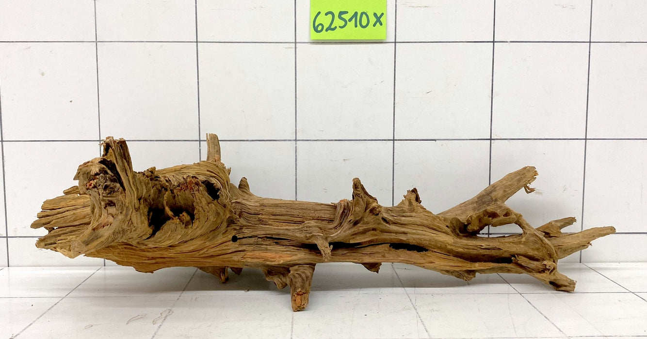 62510X - XINGU Wood Wurzelholz