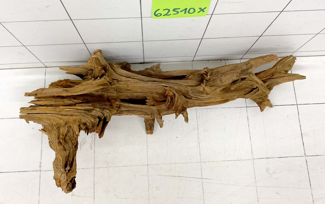 62510X - XINGU Wood Wurzelholz