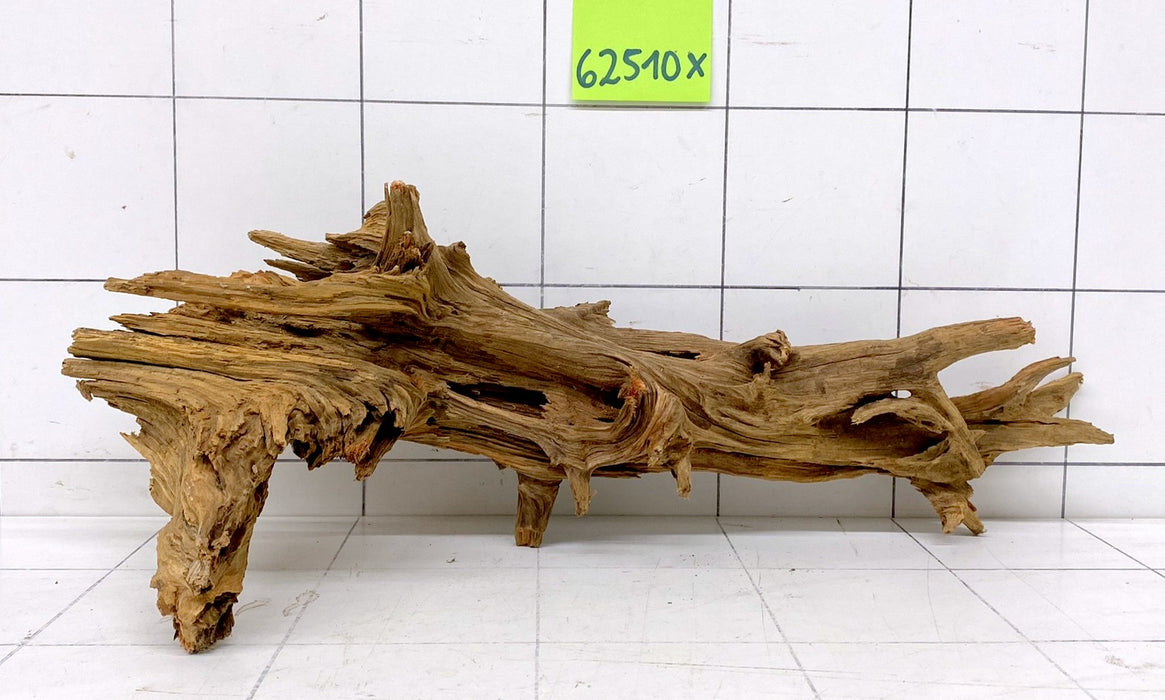 62510X - XINGU Wood Wurzelholz