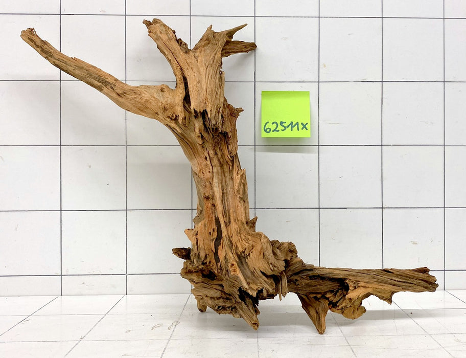 62511X - XINGU Wood Wurzelholz