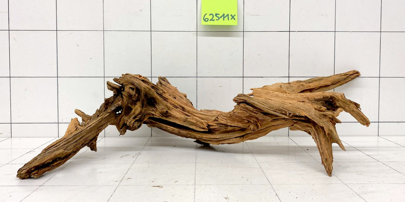 62511X - XINGU Wood Wurzelholz
