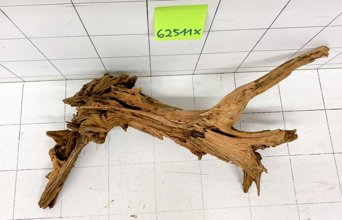 62511X - XINGU Wood Wurzelholz