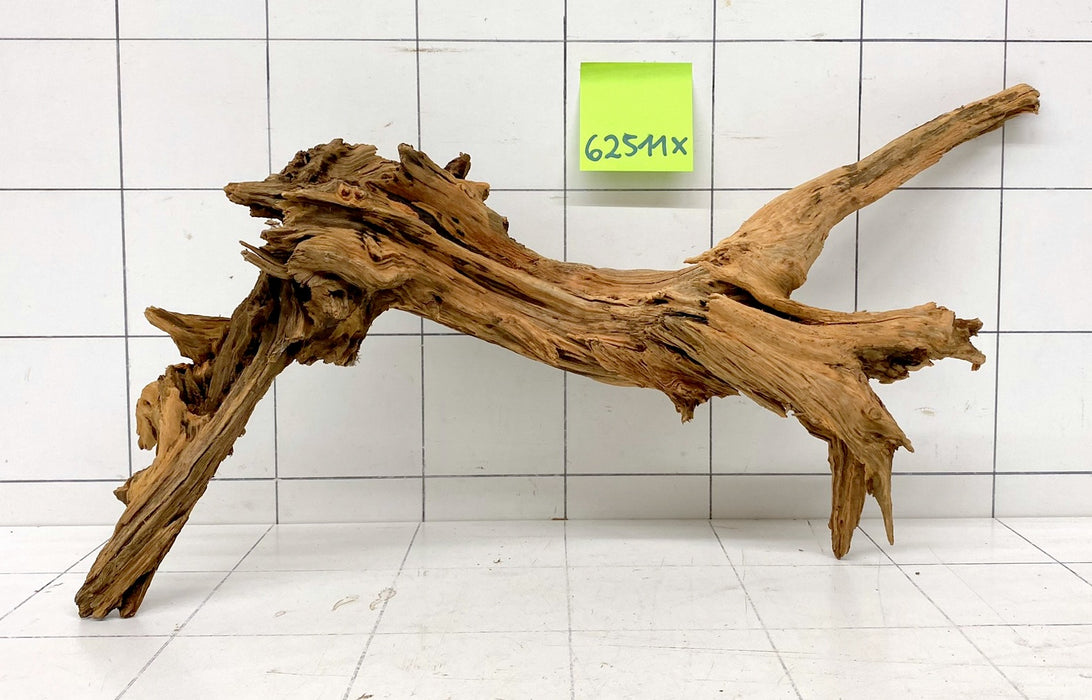 62511X - XINGU Wood Wurzelholz