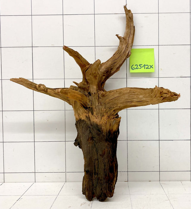 62512X - XINGU Wood Wurzelholz