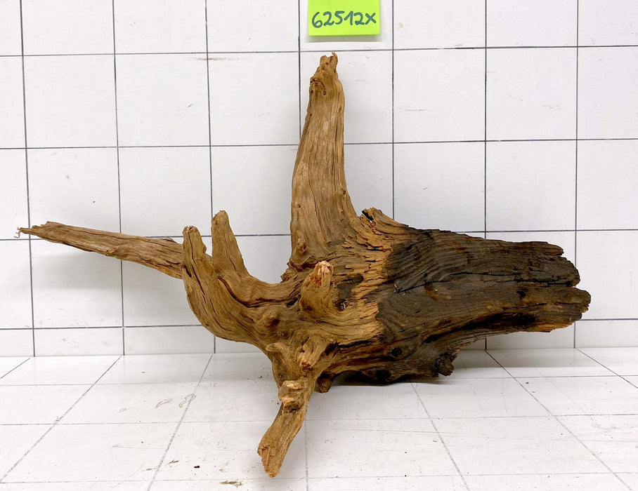 62512X - XINGU Wood Wurzelholz