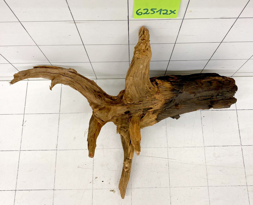 62512X - XINGU Wood Wurzelholz