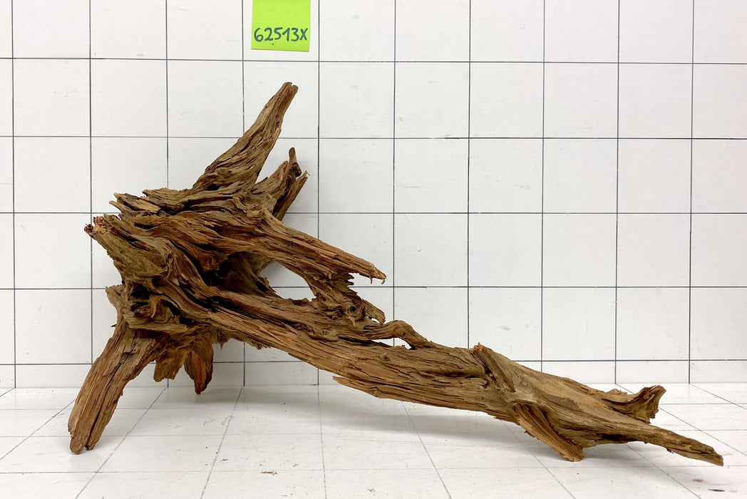 62513X - XINGU Wood Wurzelholz