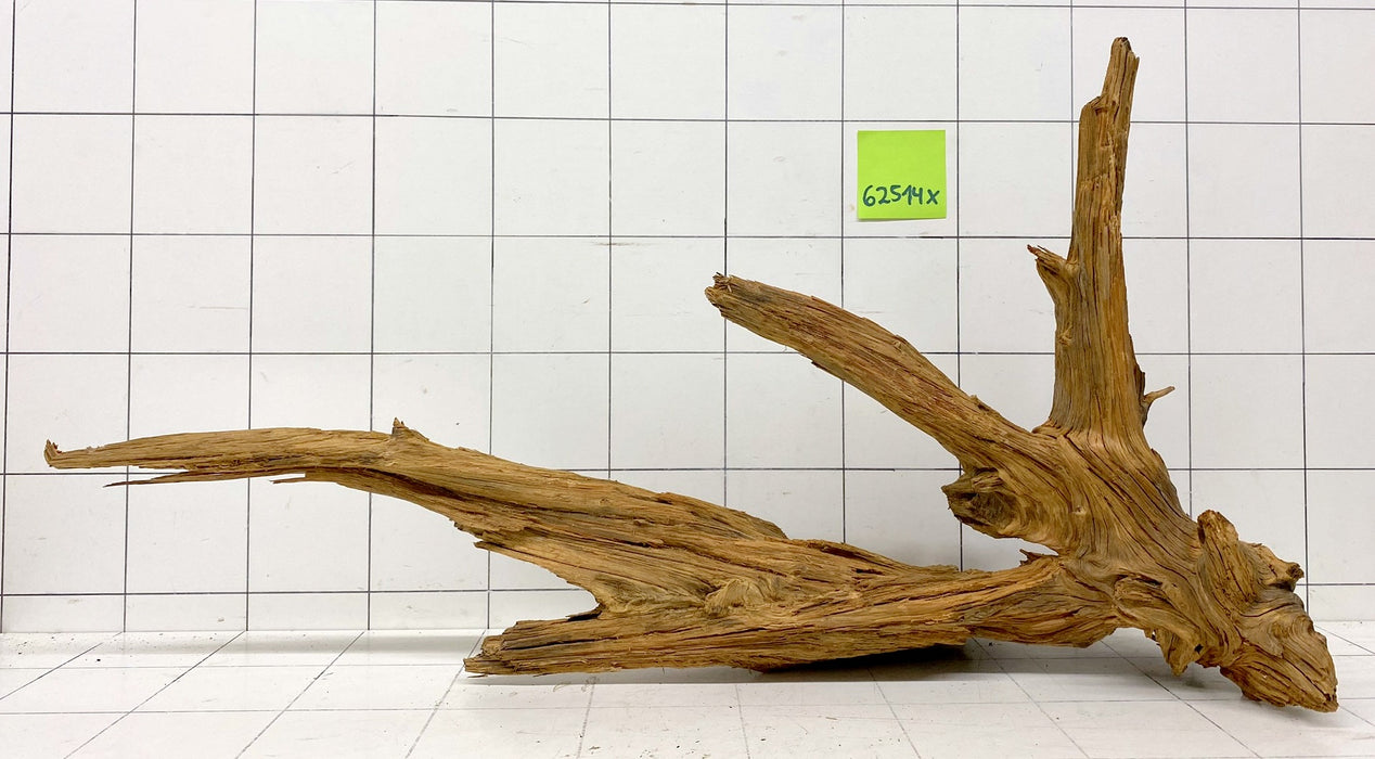 62514X - XINGU Wood Wurzelholz