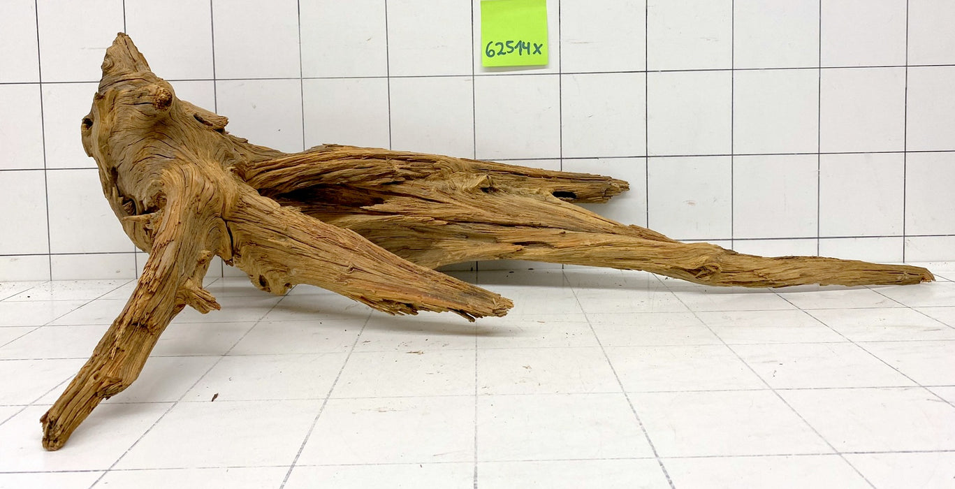 62514X - XINGU Wood Wurzelholz