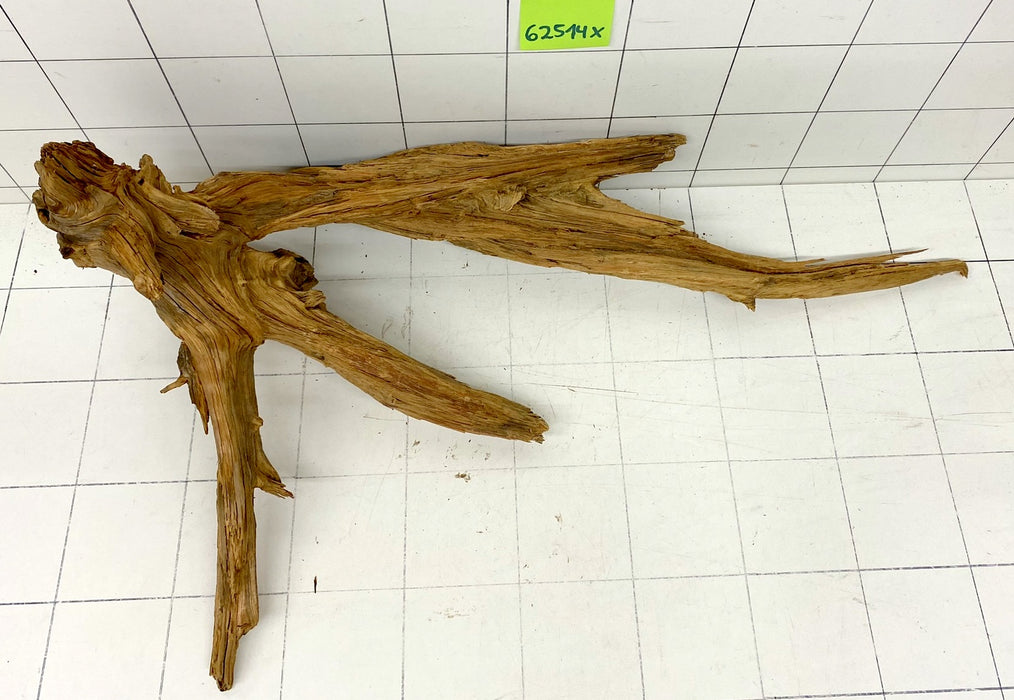 62514X - XINGU Wood Wurzelholz