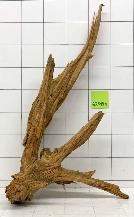 62514X - XINGU Wood Wurzelholz