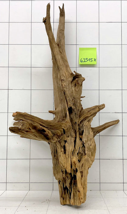 62515X - XINGU Wood Wurzelholz