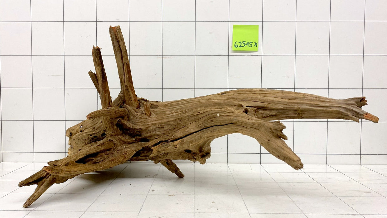 62515X - XINGU Wood Wurzelholz