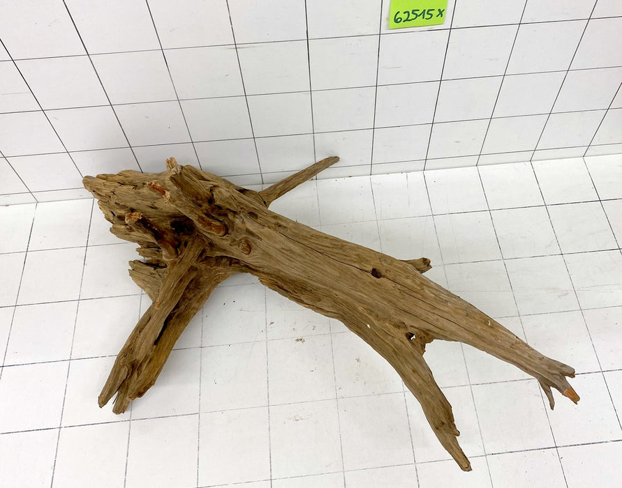 62515X - XINGU Wood Wurzelholz